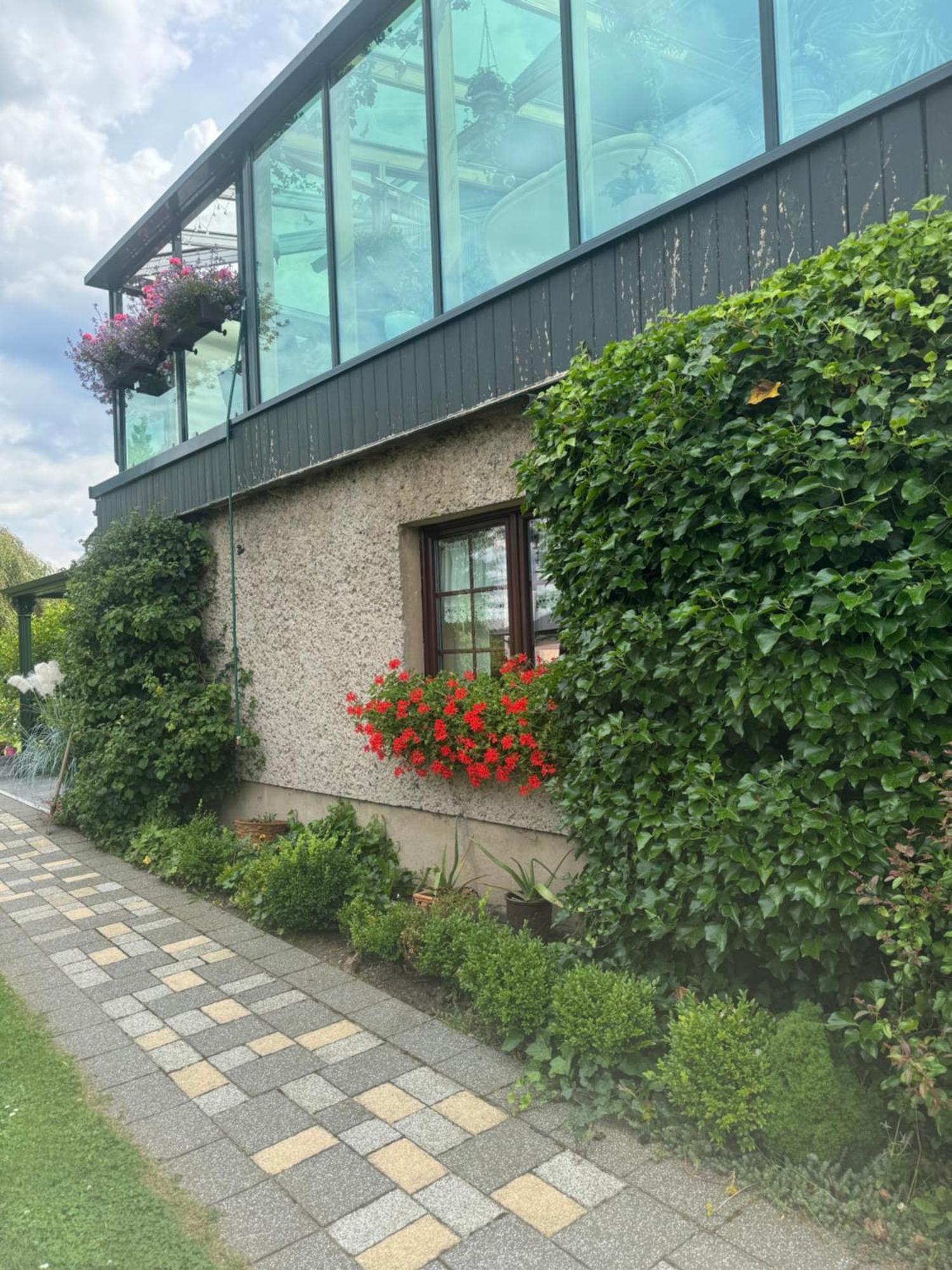 Ferienwohnung Hinterhermsdorf Glaser ゼーブニッツ エクステリア 写真